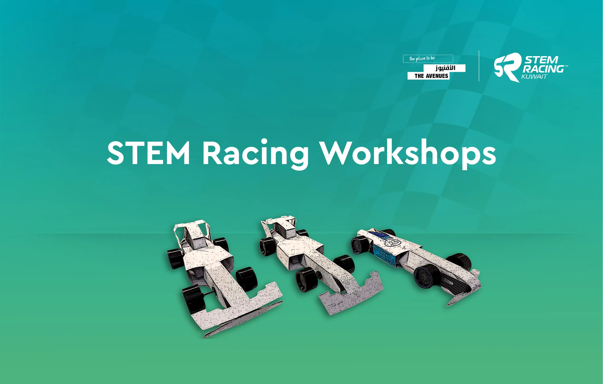 stem-04 programs